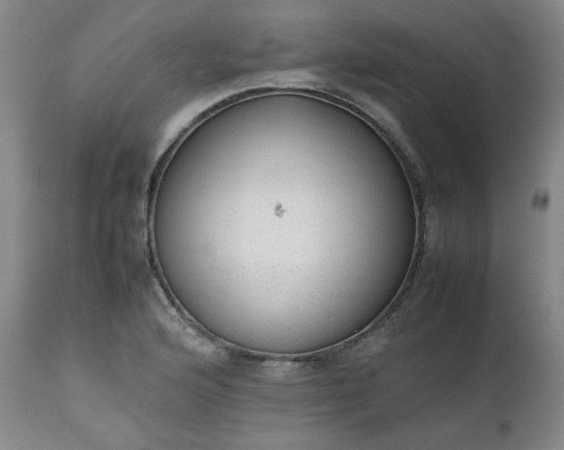 X0000112511176200908311325