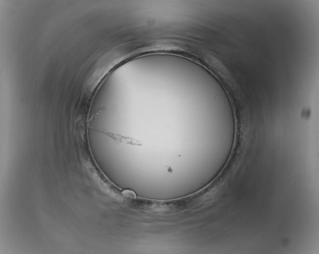 X0000112511177200908311325