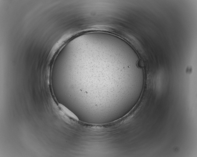 X0000112511180200908311325