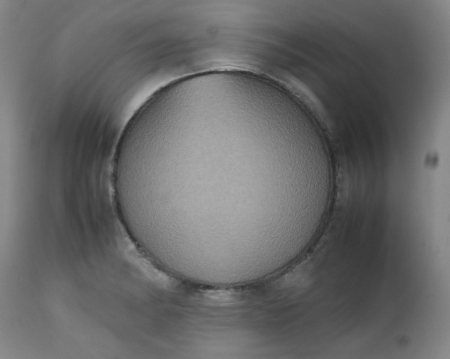 X0000112511182200908311325