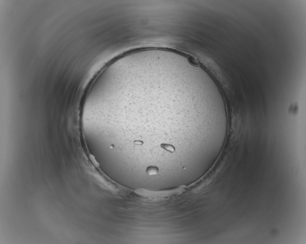 X0000112511184200908311325