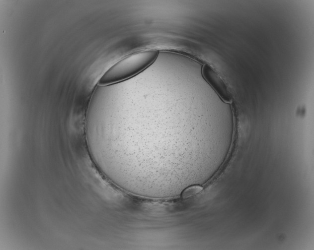 X0000112511185200908311325