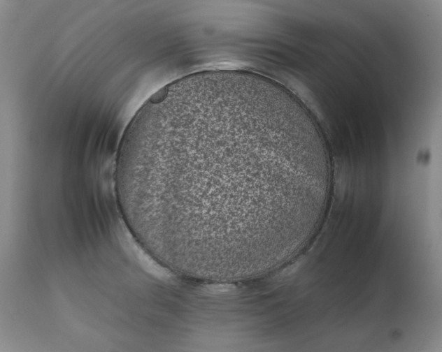 X0000112511186200908311325