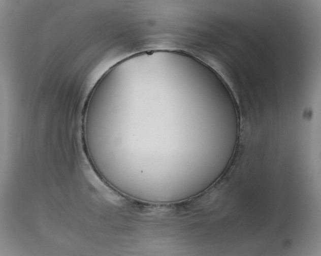 X0000112511187200908311325