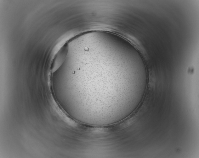 X0000112511188200908311325