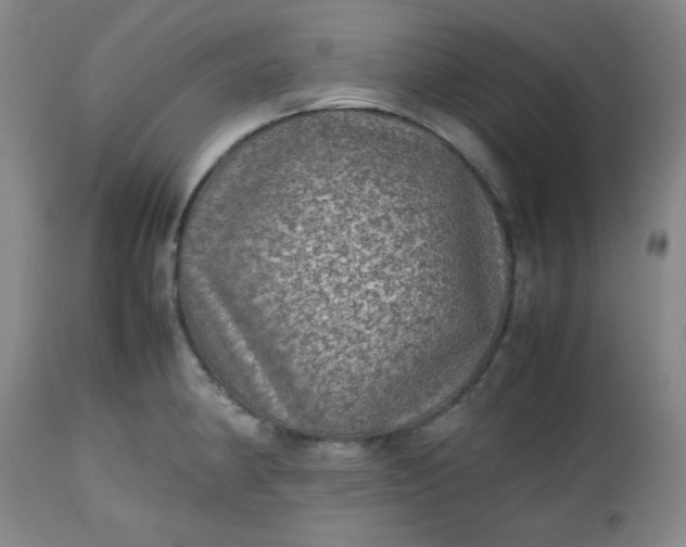 X0000112511190200908311325