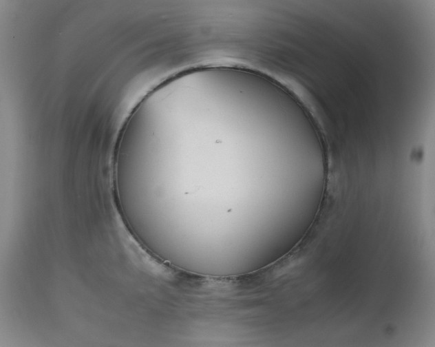 X0000112511191200908311325