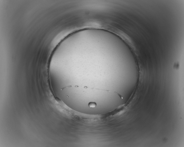 X0000112511192200908311325