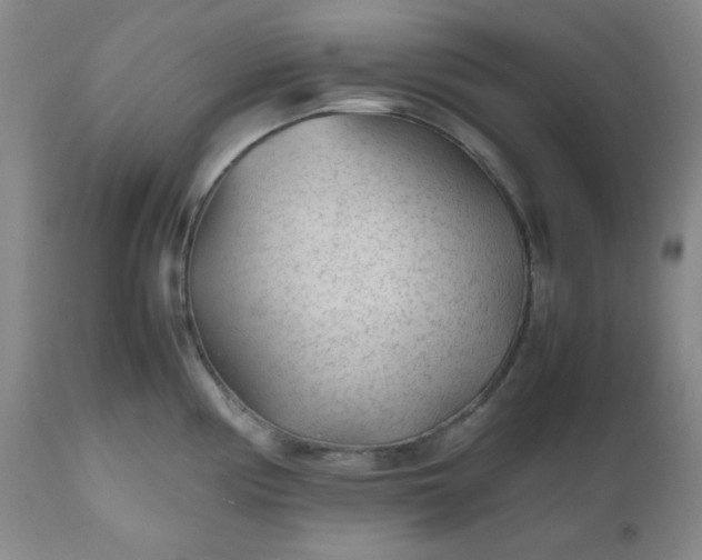 X0000112511194200908311325