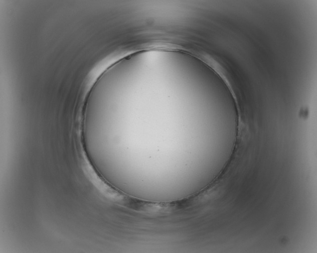 X0000112511195200908311325