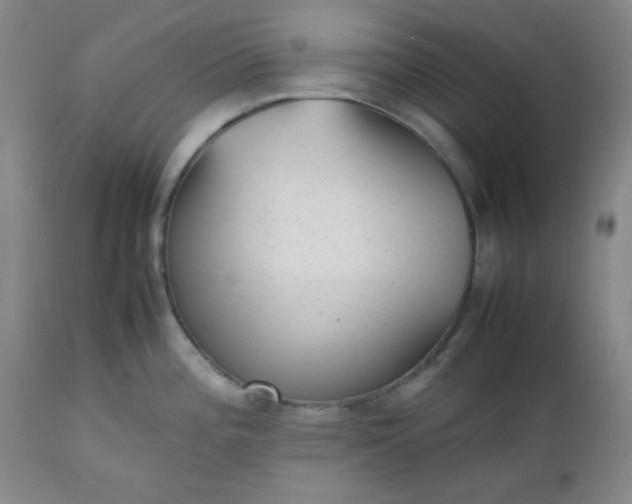 X0000112511196200908311325