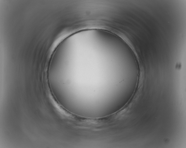 X0000112511197200908311325