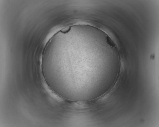 X0000112511198200908311325