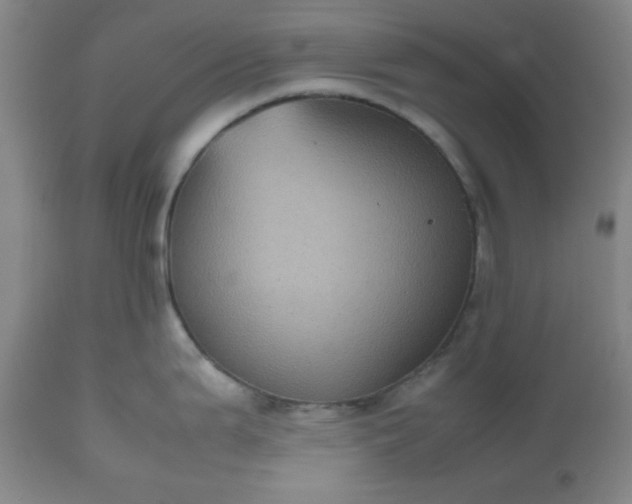 X0000112511199200908311325