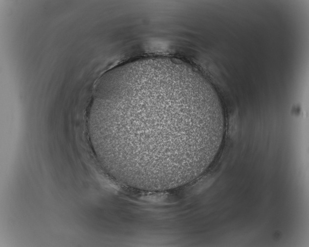 X0000112511201200908311324