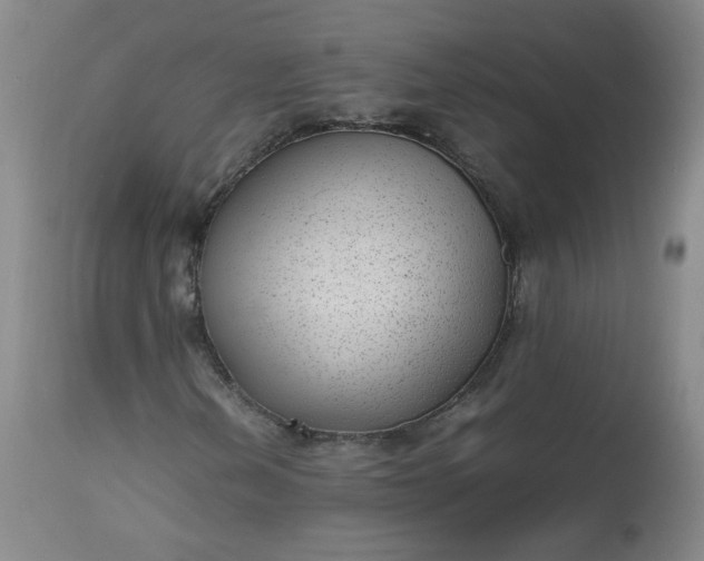 X0000112511202200908311324