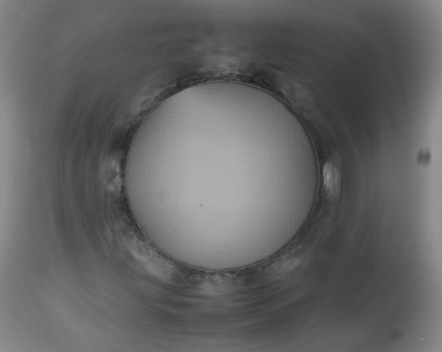 X0000112511203200908311324