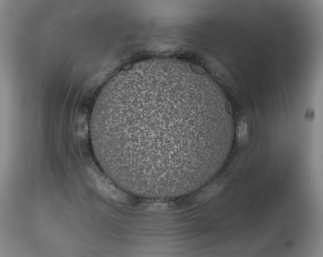 X0000112511204200908311324