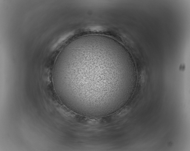 X0000112511205200908311324