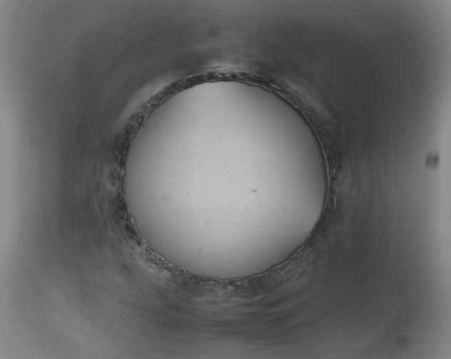 X0000112511207200908311324