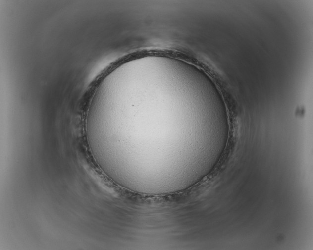 X0000112511208200908311324