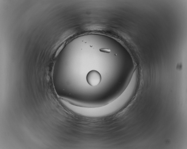 X0000112511209200908311324