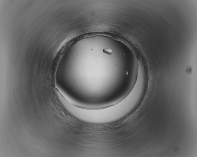 X0000112511210200908311324