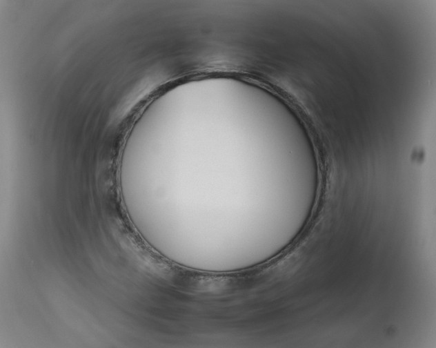 X0000112511211200908311324