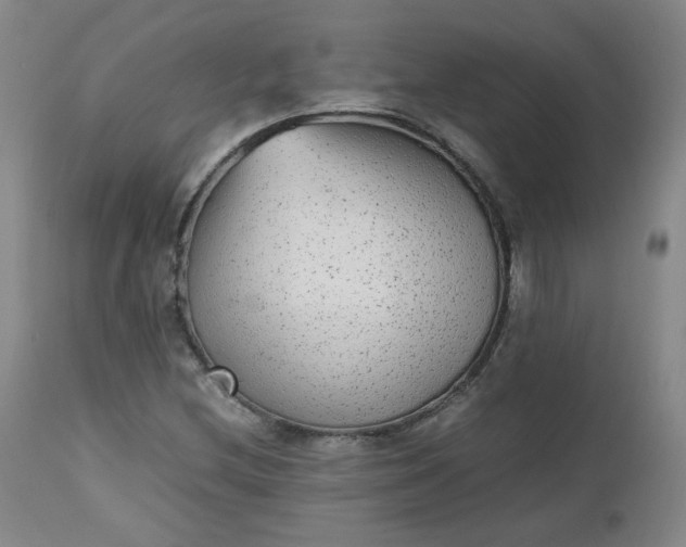 X0000112511212200908311324