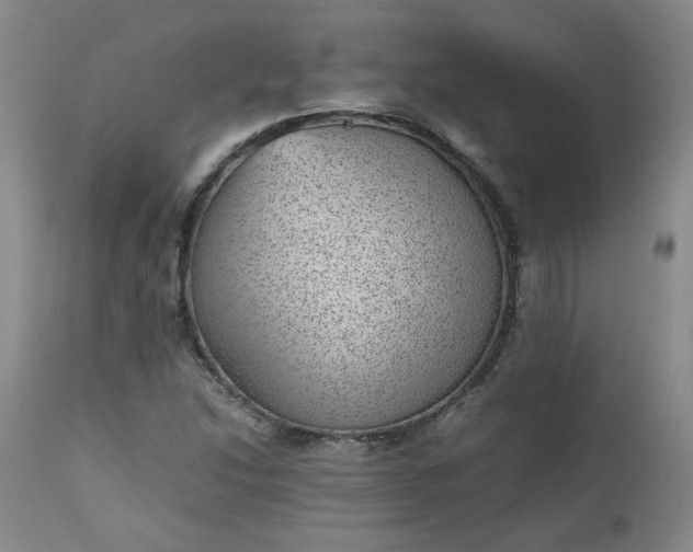 X0000112511214200908311324