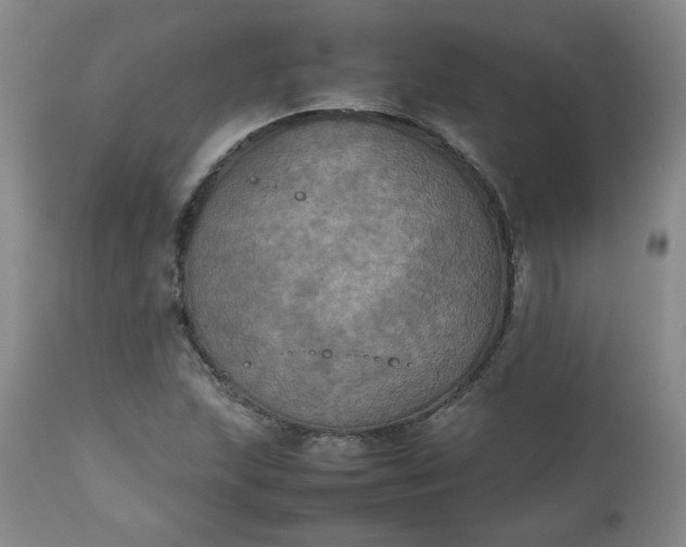 X0000112511215200908311324