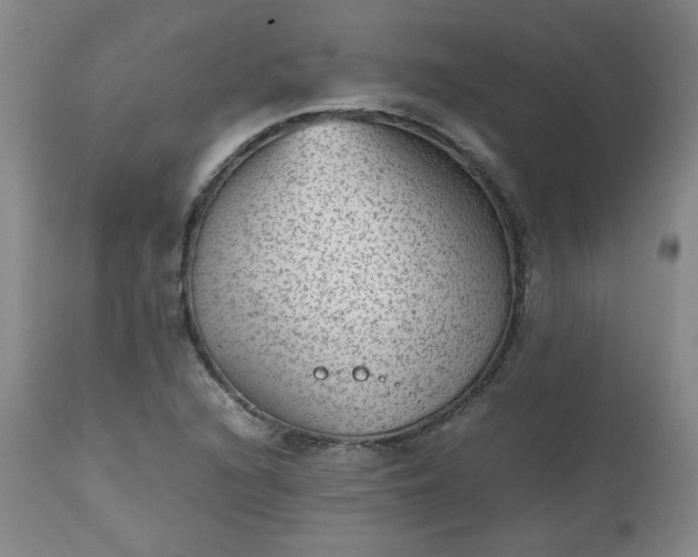 X0000112511216200908311324