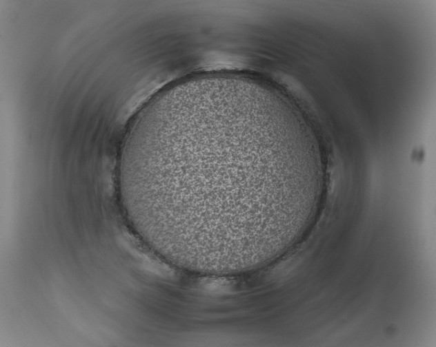 X0000112511217200908311325