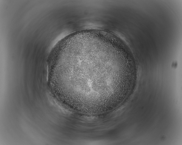 X0000112511219200908311325