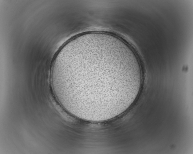 X0000112511220200908311325