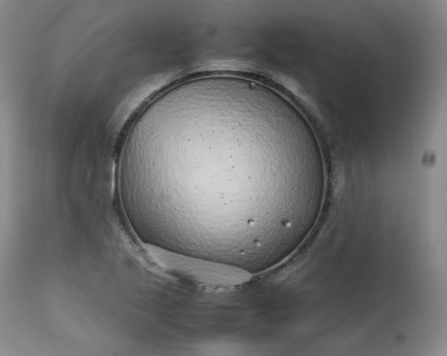 X0000112511221200908311325