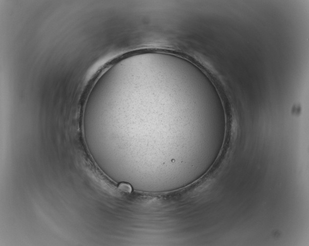 X0000112511222200908311325