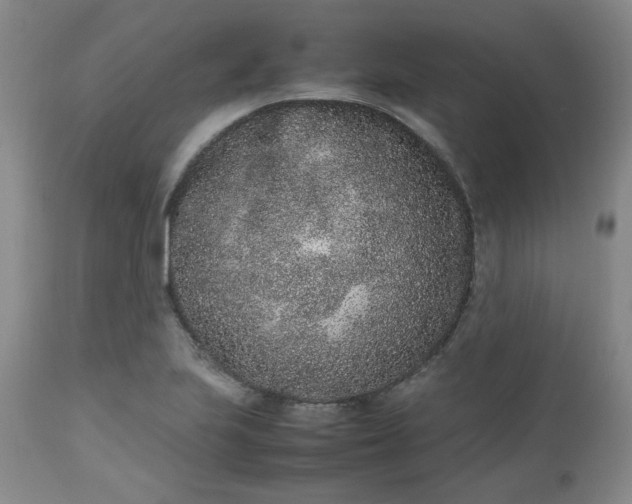 X0000112511223200908311325