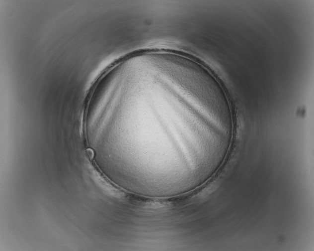 X0000112511224200908311325