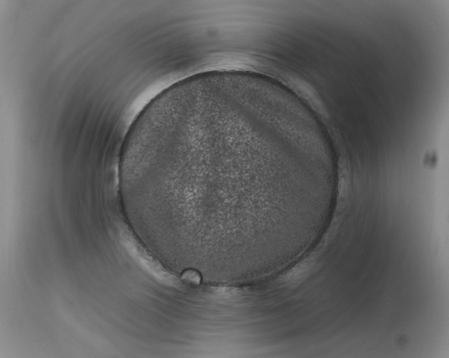 X0000112511226200908311325