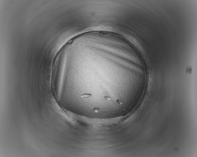 X0000112511228200908311325