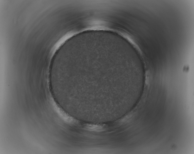 X0000112511229200908311325