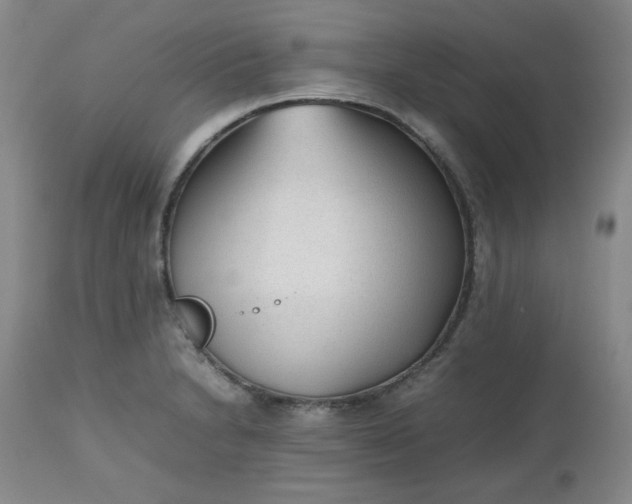 X0000112511230200908311325