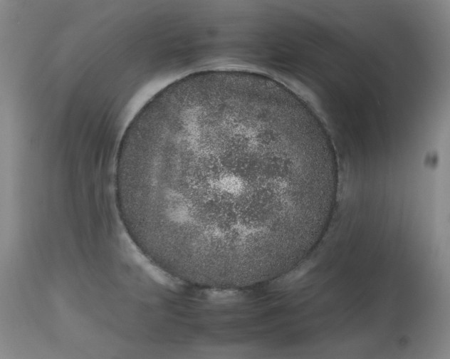 X0000112511231200908311325