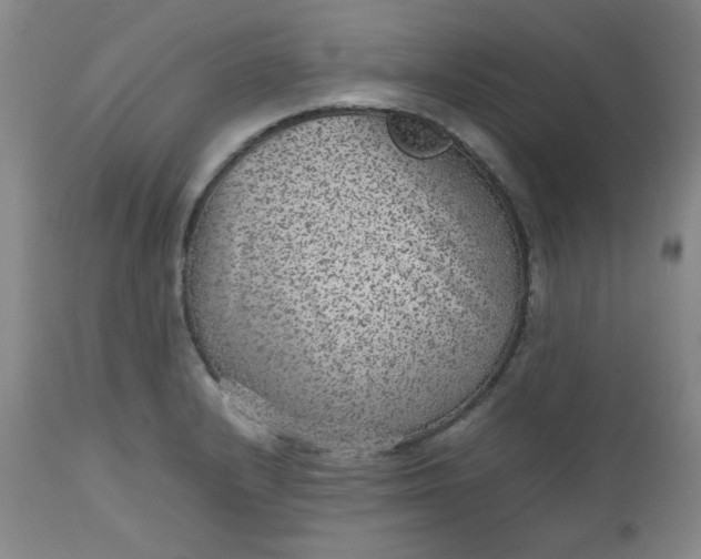 X0000112511232200908311325