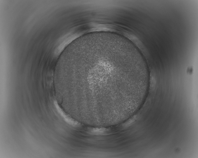 X0000112511233200908311325