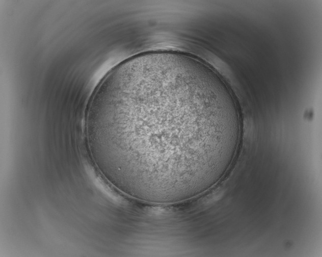 X0000112511234200908311325