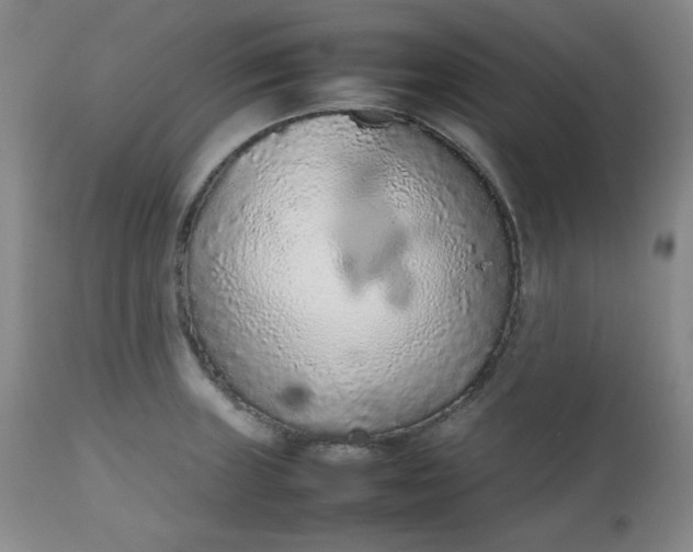 X0000112511235200908311325