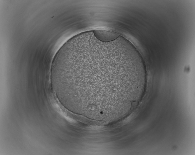 X0000112511236200908311325