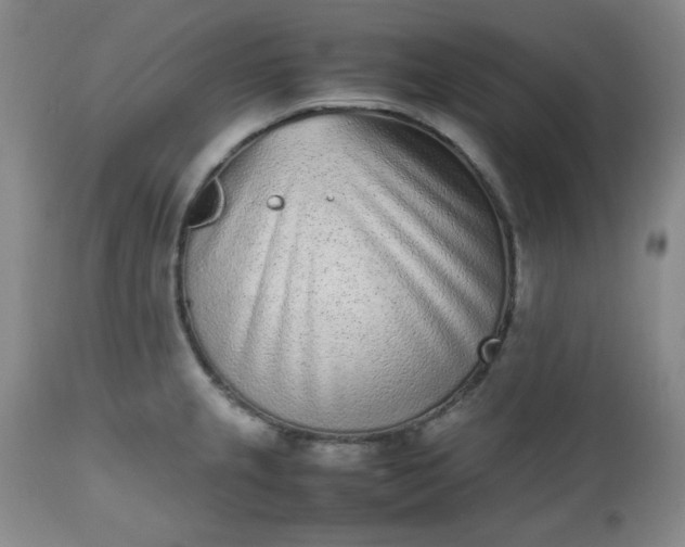 X0000112511237200908311325